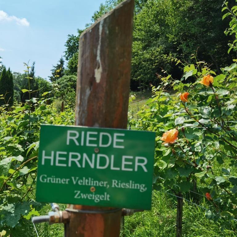 Privatzimmer Am Weinbrunnen วอร์คดอร์ฟ ภายนอก รูปภาพ