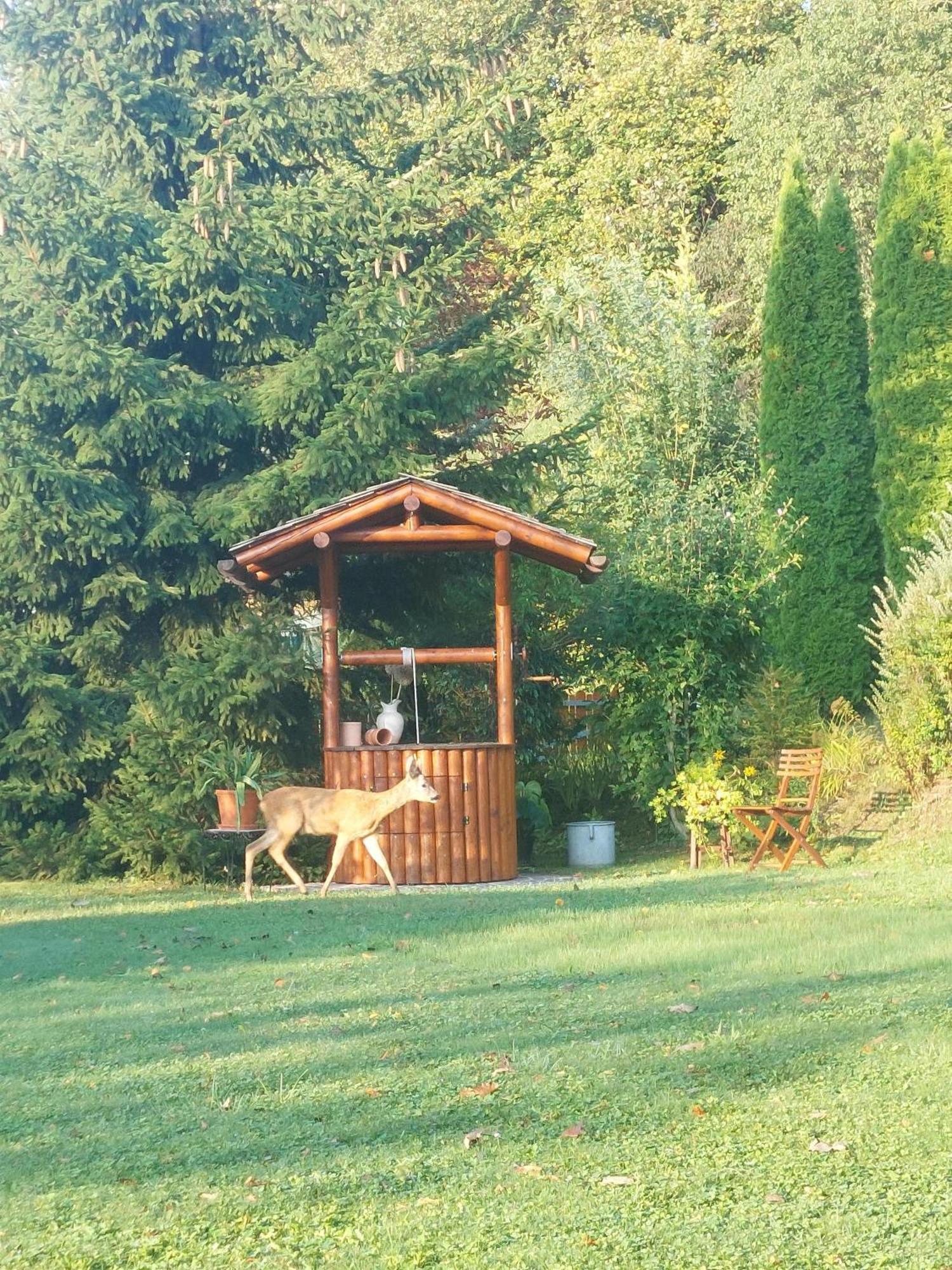 Privatzimmer Am Weinbrunnen วอร์คดอร์ฟ ภายนอก รูปภาพ